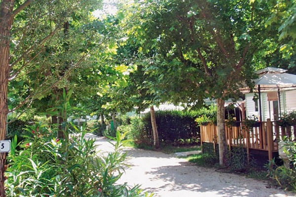 /campings/francia/provenza-alpes-costa-azul/vaucluse/Lou Comtadou/camping-lou-comtadou-1516279498-xl.jpg